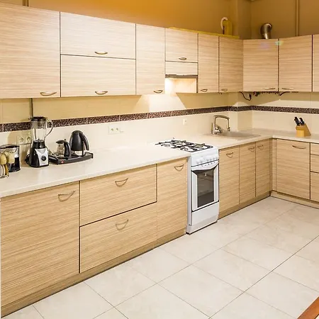 Alfa Tsekhova 1 Lejlighed Lviv